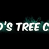 Reid's Tree Care gallery