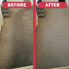 Oxi Fresh Carpet Cleaning