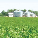 Midwest Land Management & Real Estate Inc - Agricultural Consultants