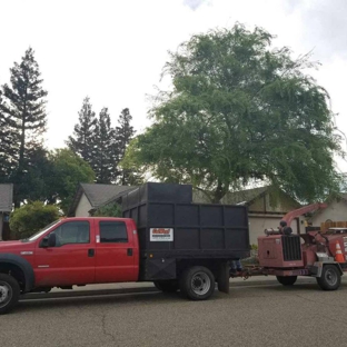 PR Tree Service - Paso Robles, CA