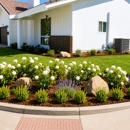 Vision Landscaping - Landscape Designers & Consultants