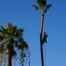 Lb Arborist Tree Care Professionals - Tree Service