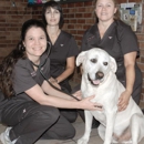 Sewell Animal Hospital - Veterinary Clinics & Hospitals