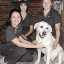 Sewell Animal Hospital - Pet Food