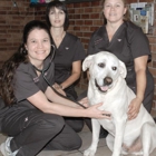 Sewell Animal Hospital