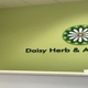 Daisy Herb & Acupuncture