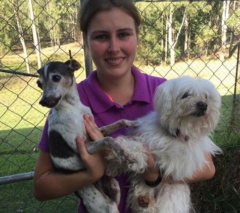 Skye Park Pet Resort and Day Spa - Clarenza, NSW
