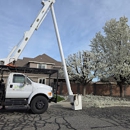 Supreme Tree Service