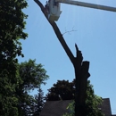 C & J Services - Tree Service