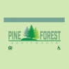 Pine Forest gallery