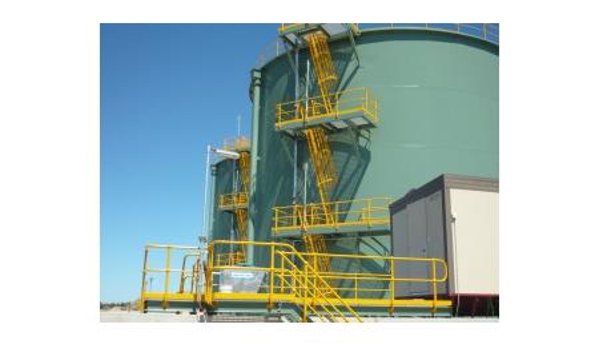 Wren Oil