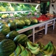 Stuckmeyer's Plants and Produce