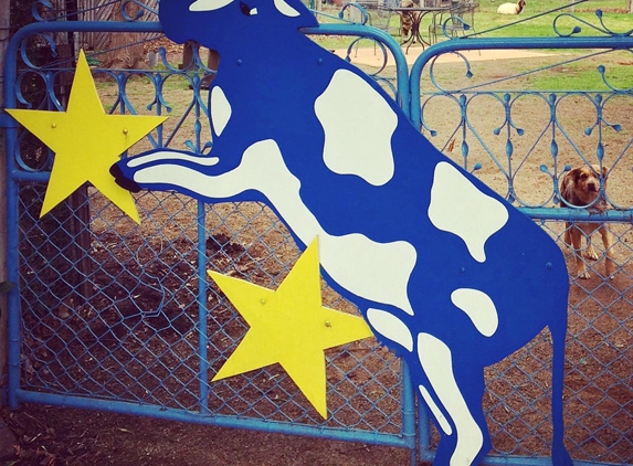Blue Cow Hotel The - Allora, QLD