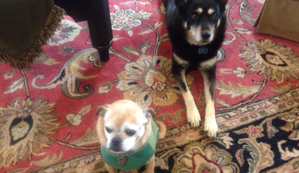 TurnKey Pet & Home Sitting - Keller, TX. My personal pets, Mika and Taffy Bradburn.