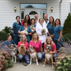 Davis Companion Animal Hospital LLC