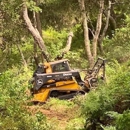 Rodriguez Tree Service - Arborists