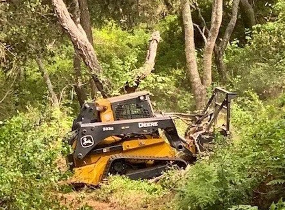 Rodriguez Tree Service - Salinas, CA