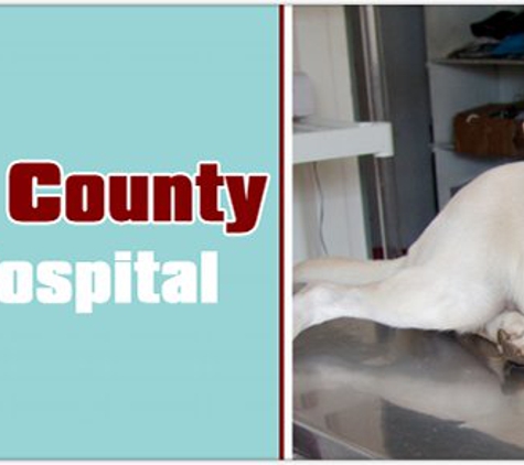 Washington County Veterinary Hospital - Howard Troob DVM - Wakefield, RI