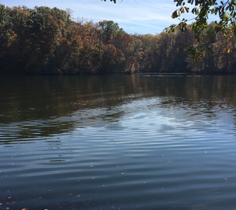 Meeman-Shelby Forest State Park - Millington, TN