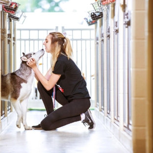 All American Pet Resort - Rochester Hills, MI