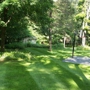 Go Green Property Management /Lawn Care