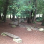 National AIDS Memorial Grove