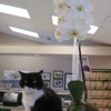 VCA Bakerstown Animal Hospital gallery