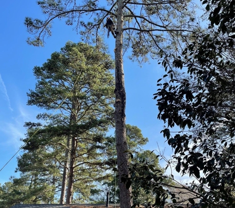 Cowart Tree Service - Danielsville, GA