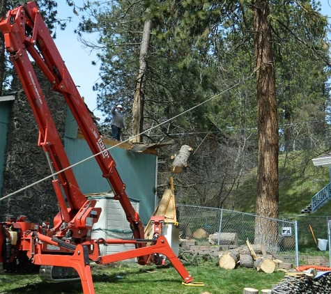 Affordable Arborist Tree Care, Inc