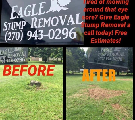 Eagle Stump Removal - Scottsville, KY