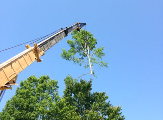 Tiger Tree Services,LLC. - Greenwell Springs, LA