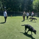 Sandy Hill Kennels - Hostels