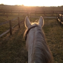 Soaring Eagle Stables & Equestrian Center - Horse Stables