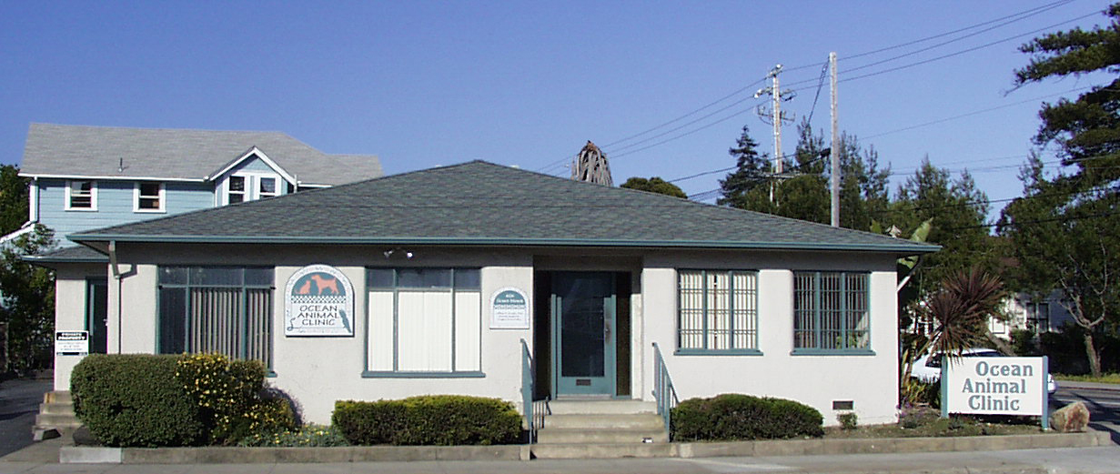 Ocean Animal Clinic Santa Cruz CA 95060