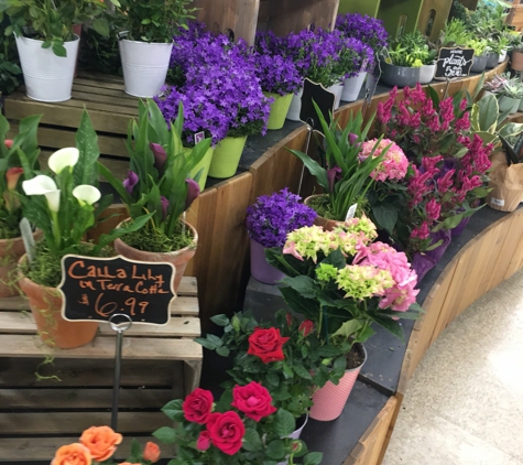 Trader Joe's - Westlake Village, CA