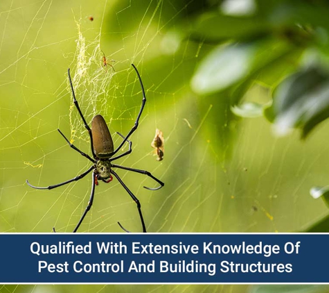 Mr Exterminator - Noarlunga Downs, SA. Qualified With Extensive Knowledge Of Pest Control And Building Structures