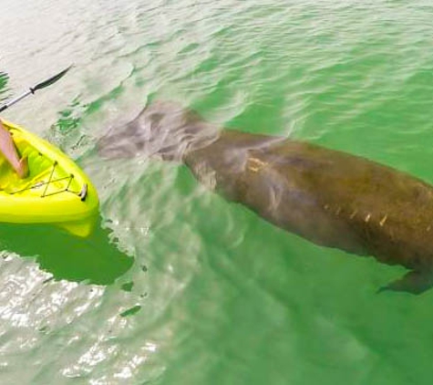 Paddle Naples - Fort Myers Beach, FL