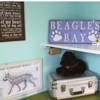 Beagles Bay Animal Hospital gallery