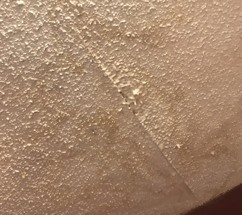 SpringBrook Family Campground - Catawissa, PA. Leaking ceiling in cabin. Mold and mildew throughout