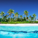 Paradise Cruise & Travel - Cruises