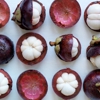 Mymangosteen/Larry Johnson gallery