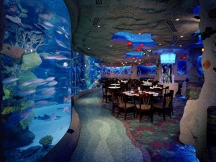The Downtown Aquarium