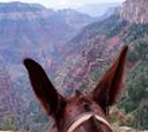 Canyon Trail Rides - Tropic, UT