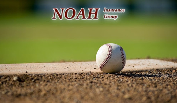 Noah Insurance Group - Forest Lake, MN