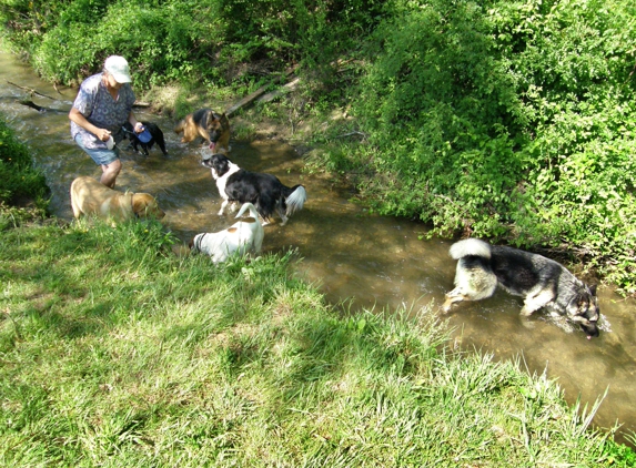 Spring Valley Farm Dog Care - Pisgah Forest, NC