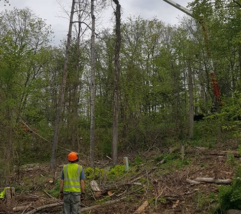 A1 Professional Tree Service - Grawn, MI