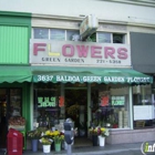 Balboa Green Garden Florist