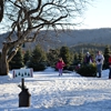 Evergreen View Farm - Choose & Cut Christmas Trees gallery