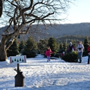 Evergreen View Farm - Choose & Cut Christmas Trees - Christmas Trees