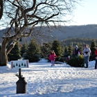 Evergreen View Farm - Choose & Cut Christmas Trees